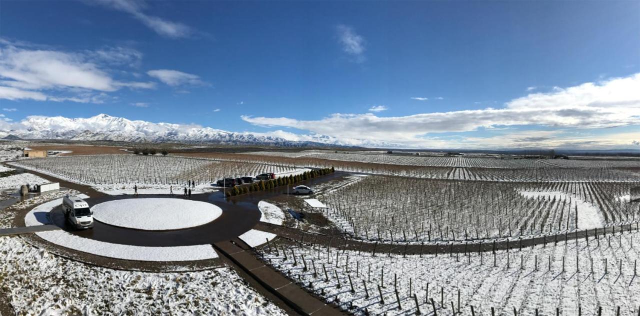 Casa De Uco Vineyards And Wine Resort Los Árboles Extérieur photo