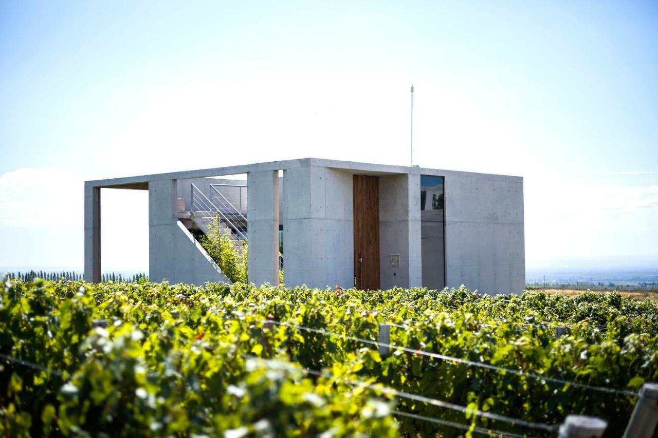 Casa De Uco Vineyards And Wine Resort Los Árboles Extérieur photo